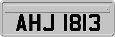 AHJ1813