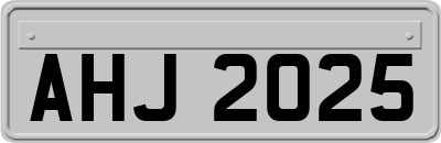 AHJ2025