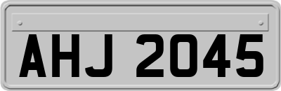 AHJ2045