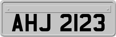 AHJ2123