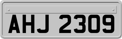 AHJ2309