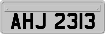 AHJ2313