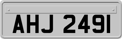 AHJ2491
