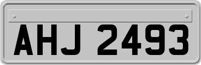 AHJ2493