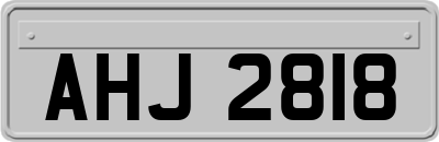AHJ2818