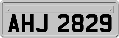 AHJ2829