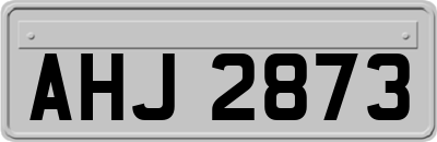 AHJ2873