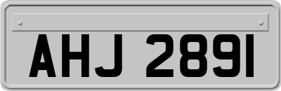 AHJ2891