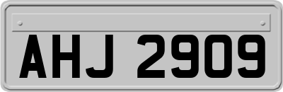 AHJ2909