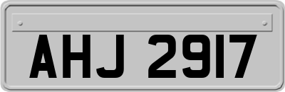 AHJ2917