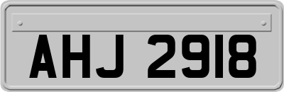 AHJ2918