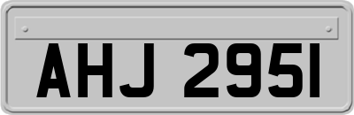 AHJ2951