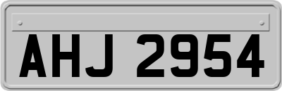 AHJ2954