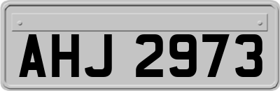 AHJ2973