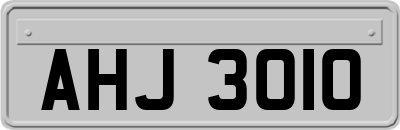 AHJ3010
