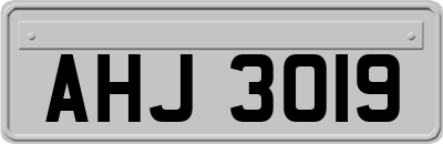 AHJ3019