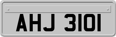 AHJ3101