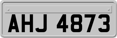 AHJ4873