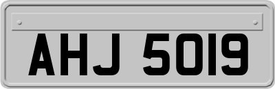 AHJ5019