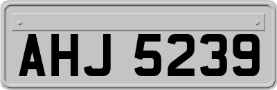 AHJ5239