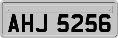 AHJ5256