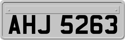 AHJ5263