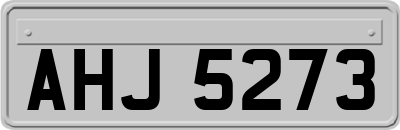AHJ5273