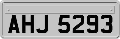 AHJ5293