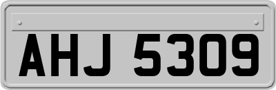 AHJ5309