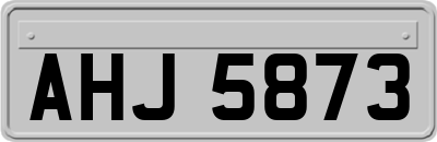 AHJ5873