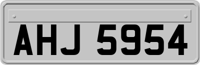 AHJ5954