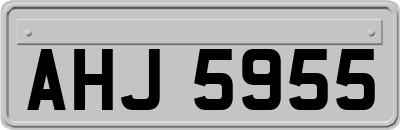 AHJ5955
