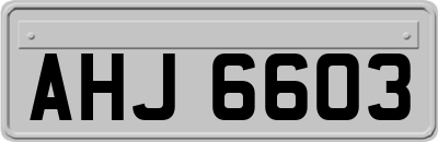 AHJ6603