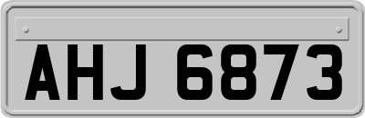 AHJ6873