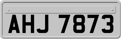 AHJ7873