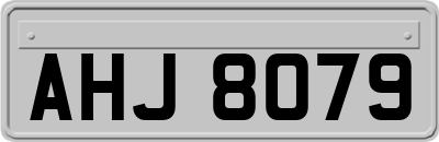 AHJ8079