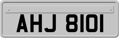 AHJ8101