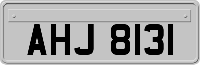 AHJ8131