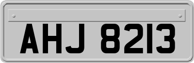 AHJ8213