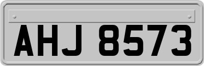 AHJ8573