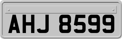 AHJ8599