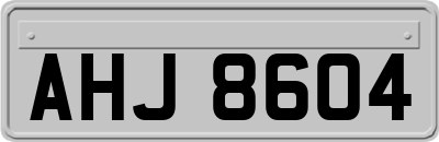AHJ8604