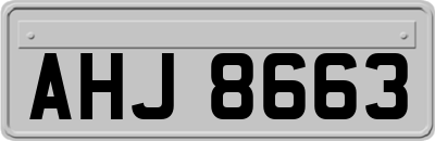 AHJ8663