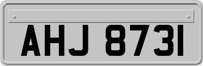 AHJ8731