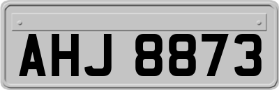 AHJ8873
