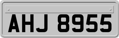 AHJ8955