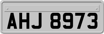 AHJ8973