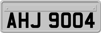 AHJ9004