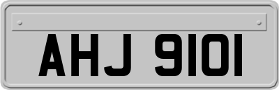 AHJ9101