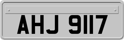 AHJ9117